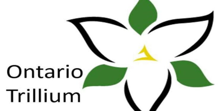 Ontario Trillium Scholarship