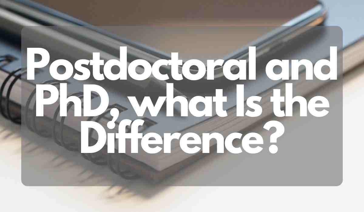postdoc and phd difference