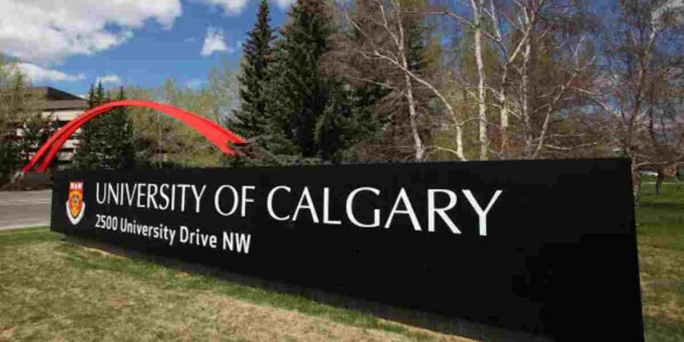 The University of Calgary International Entrance Scholarship