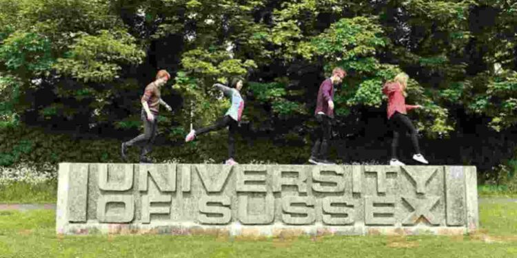 University of Sussex Chancellor’s International Scholarship