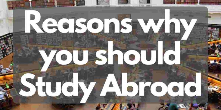 Reasons why you should study abroad