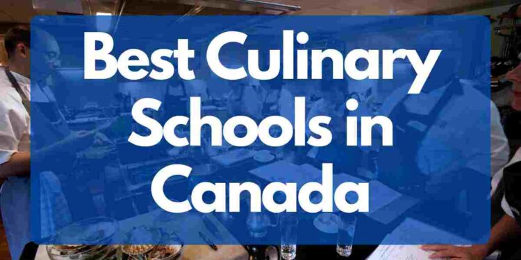Best Culinary Schools in Canada