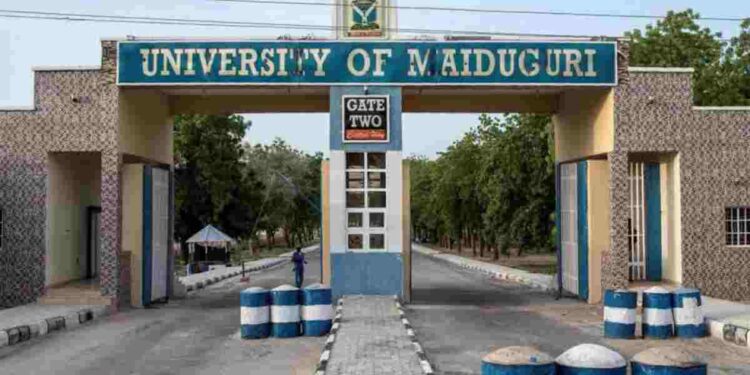 University of Maiduguri Courses