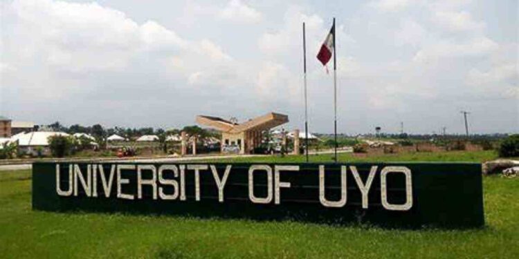 University of Uyo Courses