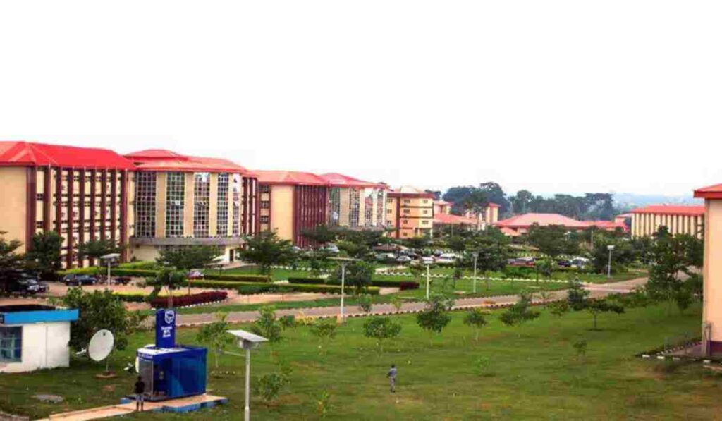 Afe Babalola University Courses