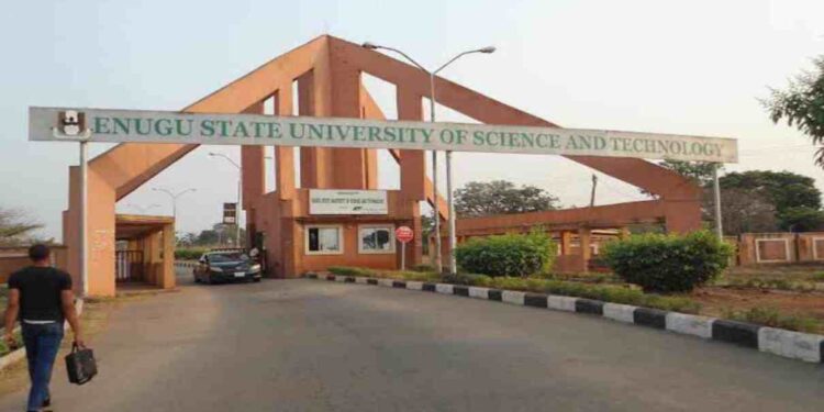 Enugu State University of Science and Technology courses