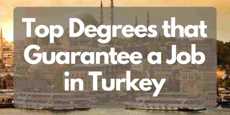 Top 10 Degrees that Guarantee a Job in Turkey