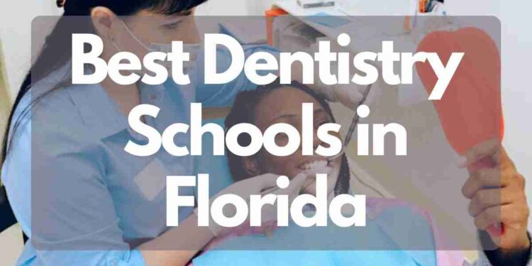 Best Dentistry Schools in Florida